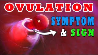 Ovulation Symptoms How To Know When You Are Ovulating 🥚 SIGNS EXPLAINED⚠️ [upl. by Aneehta]