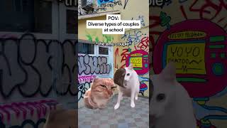 CAT MEMES 🐱Diverse types of couples at school catmemes relatable relationship [upl. by Yddur]