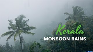 Why Kerala for Monsoon  Best Monsoon video [upl. by Rao]