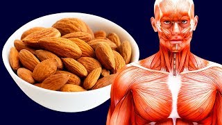 What Will Happen If You Eat 20 Almonds Every Day [upl. by Pillihp]