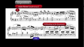 Beethoven Analysis Piano Sonata in F minor Op 2 No 1 II Adagio [upl. by Enitsirt]