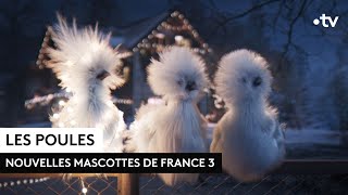 Les poules  le nouvel habillage de France 3 [upl. by Ecaroh]