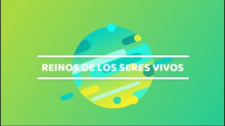 CLASIFICACIÓN y CARACTERÍSTICAS de los SERES VIVOS [upl. by Eiryt383]