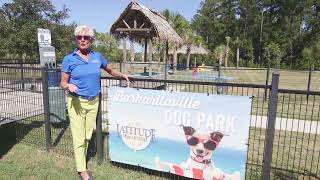 Paradise for Pups Latitude Margaritaville Hilton Head’s Barkaritaville Dog Park [upl. by Patin]