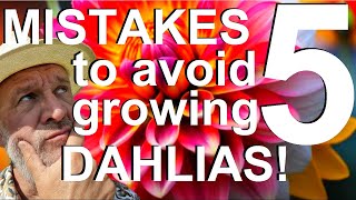 Five Mistakes to Avoid Growing Dahlias [upl. by Arhas]