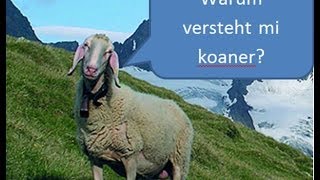 WARUM versteht mich niemand  Dialekte [upl. by Aleinad]