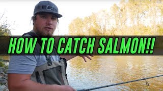 HOW TO Catch A Salmon  COMPLETE Guide To SUCCESS Salmon Fishing [upl. by Nwahsram920]