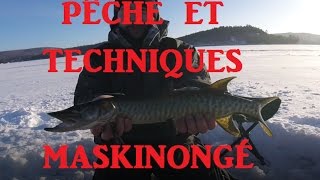 PÊCHE SOUS GLACE DU MASKINONGÉ 2017  TECHNIQUES [upl. by Wall]