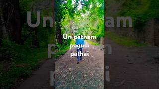 Un patham pogum pathai🥰🥰 [upl. by Lakym470]