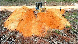 Wonderful Big Dozer Push The Ground Hold On Forest Making New Road [upl. by Sidky771]