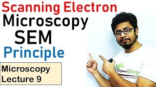 Scanning electron microscope principle working SEM [upl. by Samal261]