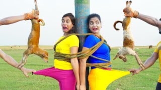 New Entertainment Top Funny Video Best Comedy in 2024 Episode 271 By Busy Fun Ltd [upl. by Verine127]