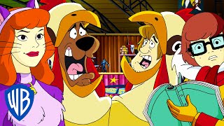 ScoobyDoo  Best of WB 100th ScoobyDoo 10Film Collection  wbkids [upl. by Lonni]