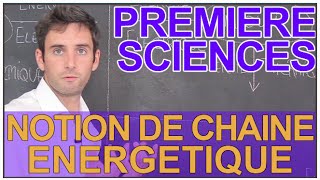 Notion de chaîne énergétique  Sciences 1ère ESL  Les Bons Profs [upl. by Adnek227]