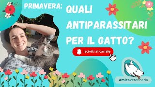 Antiparassitari per il gatto [upl. by Nitsua900]