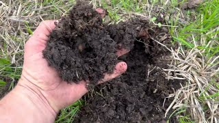 Regenerative Agriculture How We Improve Soil Quickly without Costly Equipment [upl. by Anoved302]