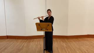 JS Bach Partita for Solo Flute Allemande [upl. by Dorris404]