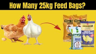 How Many 25kg Feed Bags for 100 Broilers and Layers [upl. by Moulton]