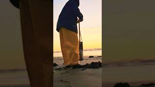 Easy catch razor clam fyp shorts reels shortvideo pnw outdoors [upl. by Yllek]