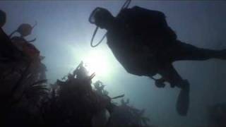 Porthgain Dan Beard amp Reef Diving 2010 [upl. by Eloc]