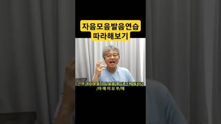 발음연습 발음좋아지는법 자음발음 모음발음 연구개 혀 구강 아래턱 발음기관 조음기관 [upl. by Arraet]