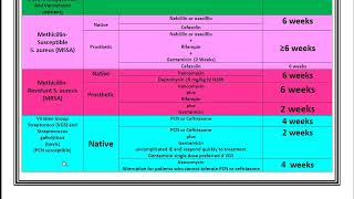 Infective Endocarditis Review and Summary [upl. by Marjorie]