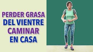 Haz Estos 30 Minutos de Cardio de Pie Para Perder Grasa del Vientre [upl. by Adnohs]