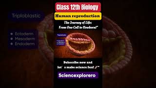 Human Reproduction Class 12th Biology chapter 3 ncert fully explained ncert sciencexplorero neet [upl. by Lief]