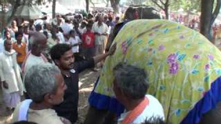 Sonepur Mela Elephants [upl. by Iamhaj]