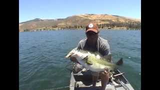 Deps 250 slideswimmer Butch Brown [upl. by Bagger]