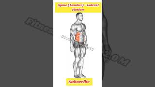 Spine  Lumber   Lateral Flexion Exercise for Men amp Women At Home workout [upl. by Eilagam]