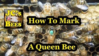 How To Mark A Queen Bee [upl. by Hait223]