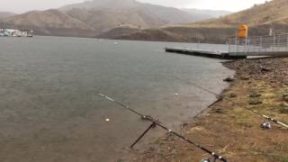 Fishing for carp  kaweah Lake [upl. by Tisman300]