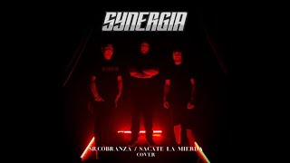 SR COBRANZA  SACATE LA MIERDA  Synergia Cover [upl. by Yehs606]