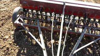 Planting winter wheat with a CASE grain drill [upl. by Kellyn]