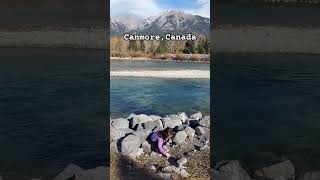 canada canmore bowriver autumn [upl. by Gaughan370]