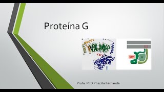 Proteína G [upl. by Bernhard467]