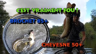 Ce gros BROCHET attaque mon CHEVESNE de 50  Cest vraiment FOU [upl. by Einna]