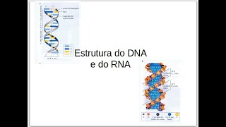 Estrutura do DNA e RNA [upl. by Manas]