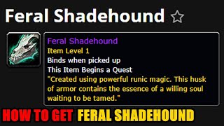 How to get Feral Shadehound WoW [upl. by Akeihsal]