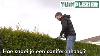 Hoe snoei je een Conifeer  TUINPLEZIER [upl. by Assert181]