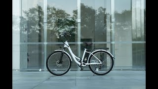 FinBike U2 MontagevideoWie man das U2 EBike zusammenbaut [upl. by Onairam]