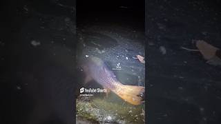 Fishing at lake Evans Fairmount park Full video is posted CatchnAvibe [upl. by Hawkie]