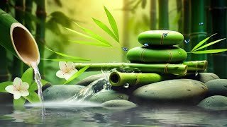 Relaxing Sleep Music  Insomnia Stress Relief Relax Sleep Spa amp Meditation Music Heart Healing [upl. by Alyar471]