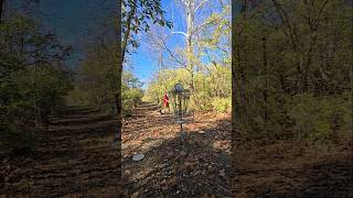 Wide open putt  discgolf putting getoutside fall open [upl. by Llerej]