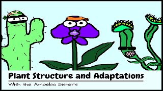 OLD VIDEO Plant Structure and Adaptations [upl. by Masson508]