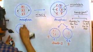 Nondisjunction of chromosome [upl. by Ardnuasac]