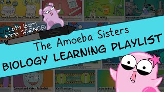 Amoeba Sisters Biology Learning Playlist Introduction [upl. by Sonja]