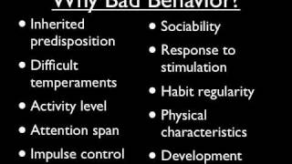 Behavior Management for Children  Part 1 [upl. by Macdonell]