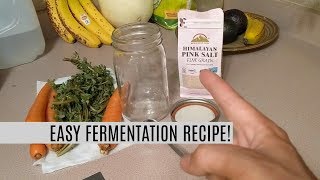 How to Ferment Purslane and Carrots [upl. by Aihtekal]